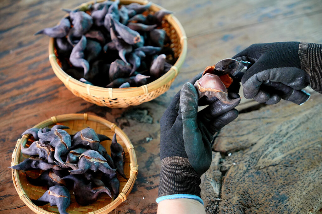 里仁守護官田水雉逾15年  從食品出發實踐永續理想