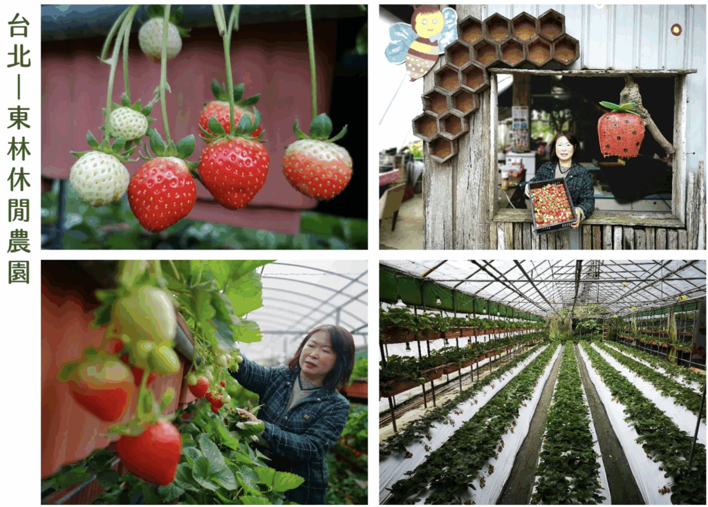 走訪有機農場，邊玩邊守護大地~ 里仁會員專享9折優惠！