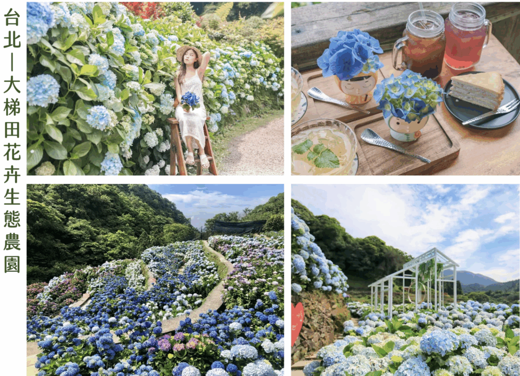 走訪有機農場，邊玩邊守護大地~ 里仁會員專享9折優惠！